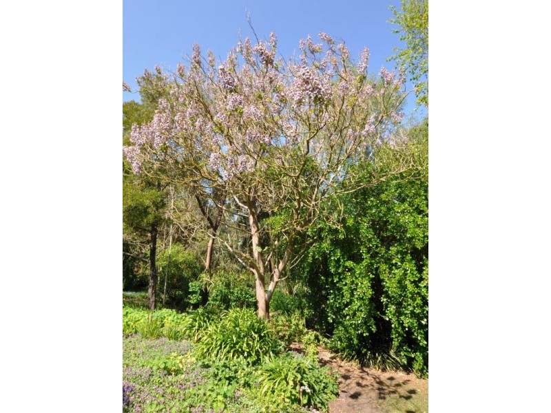 Lot 2, 398 Grassmere Road, Warrnambool VIC 3280