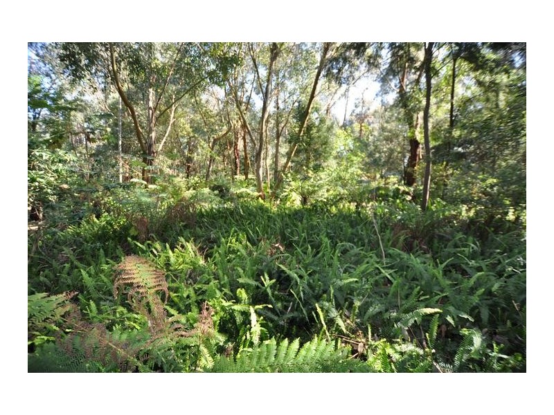 Lot 2, 398 Grassmere Road, Warrnambool VIC 3280