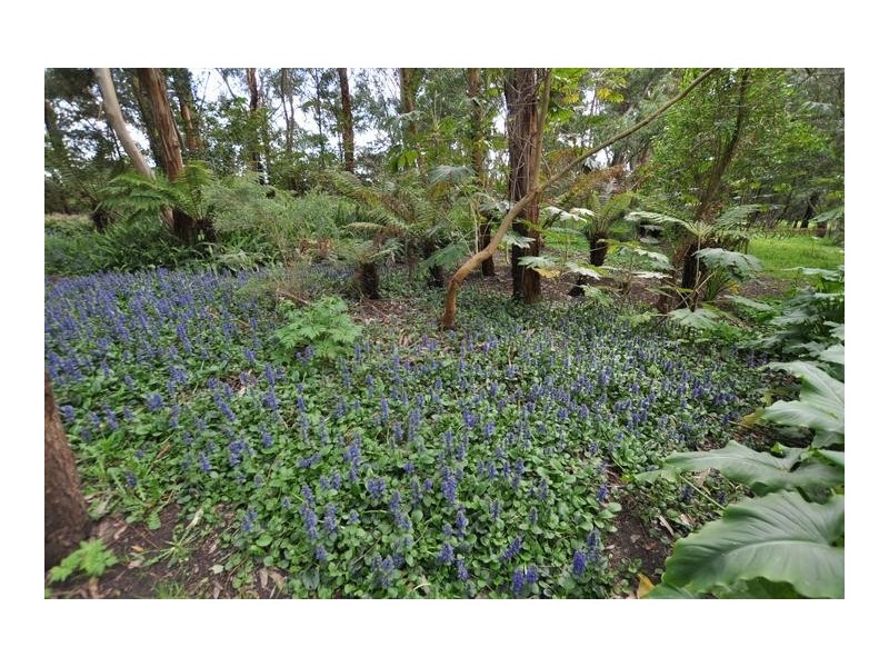 Lot 2, 398 Grassmere Road, Warrnambool VIC 3280