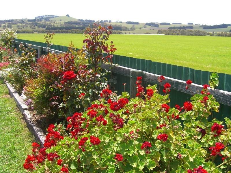 880 Cobden-Terang Road, Cobden VIC 3266