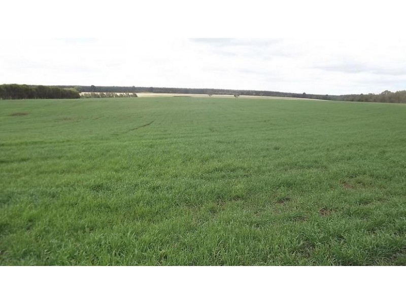 8641 Henty Highway, Branxholme VIC 3302