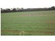 8641 Henty Highway, Branxholme VIC 3302