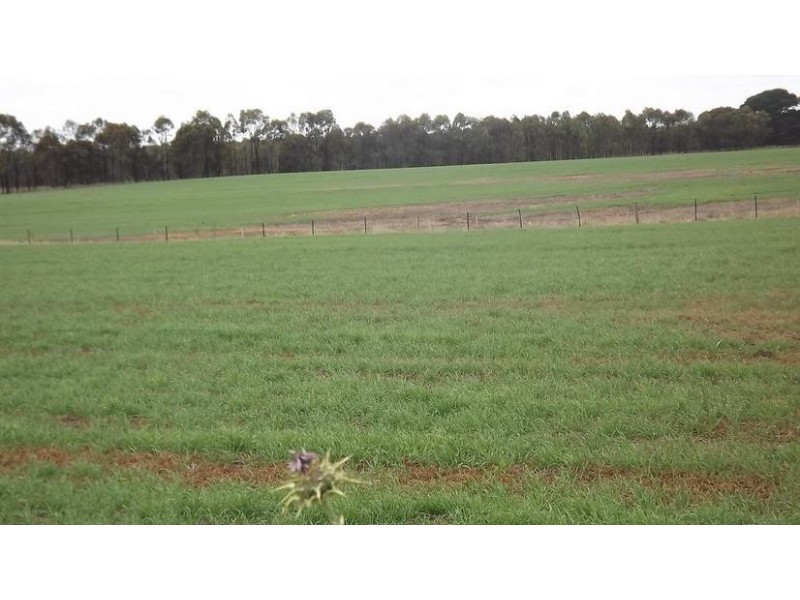 8641 Henty Highway, Branxholme VIC 3302