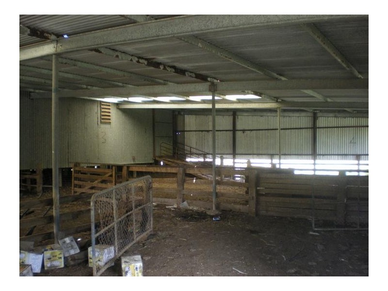 8641 Henty Highway, Branxholme VIC 3302