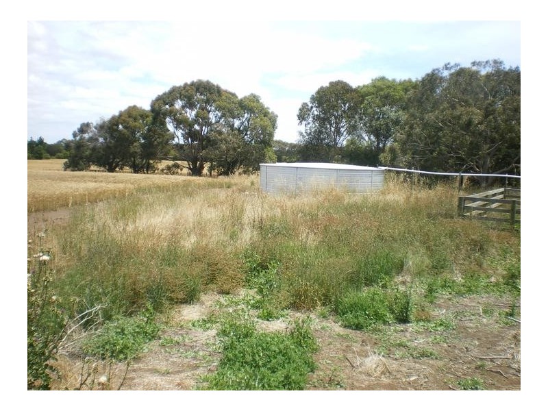 8641 Henty Highway, Branxholme VIC 3302