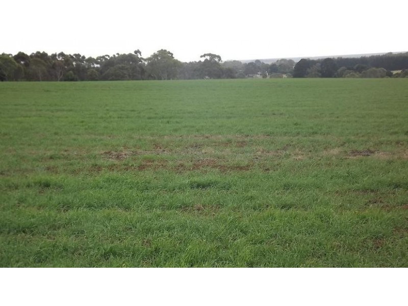 8641 Henty Highway, Branxholme VIC 3302
