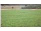 8641 Henty Highway, Branxholme VIC 3302