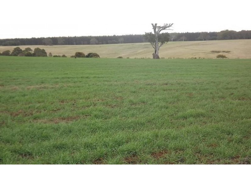 8641 Henty Highway, Branxholme VIC 3302