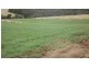 8641 Henty Highway, Branxholme VIC 3302