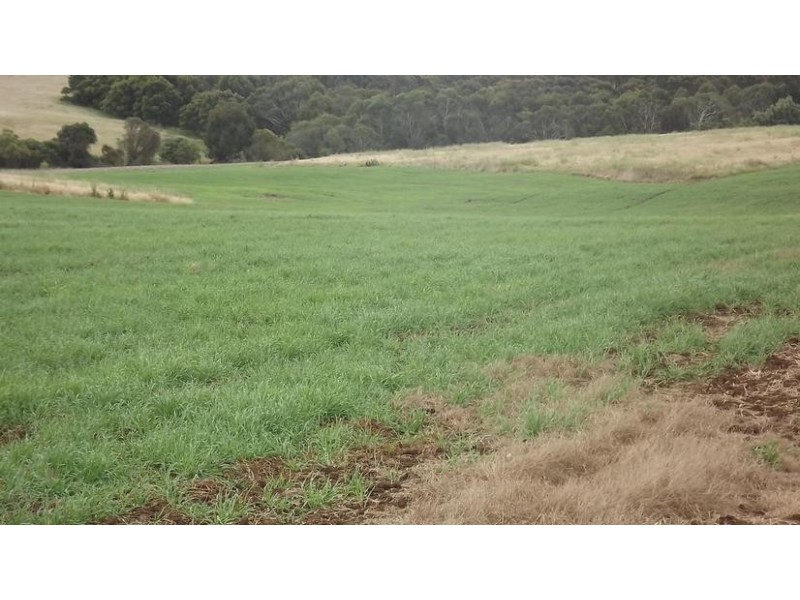 8641 Henty Highway, Branxholme VIC 3302