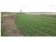 8641 Henty Highway, Branxholme VIC 3302