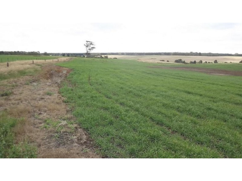 8641 Henty Highway, Branxholme VIC 3302