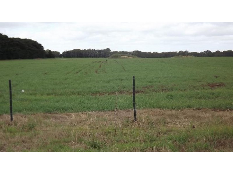 8641 Henty Highway, Branxholme VIC 3302
