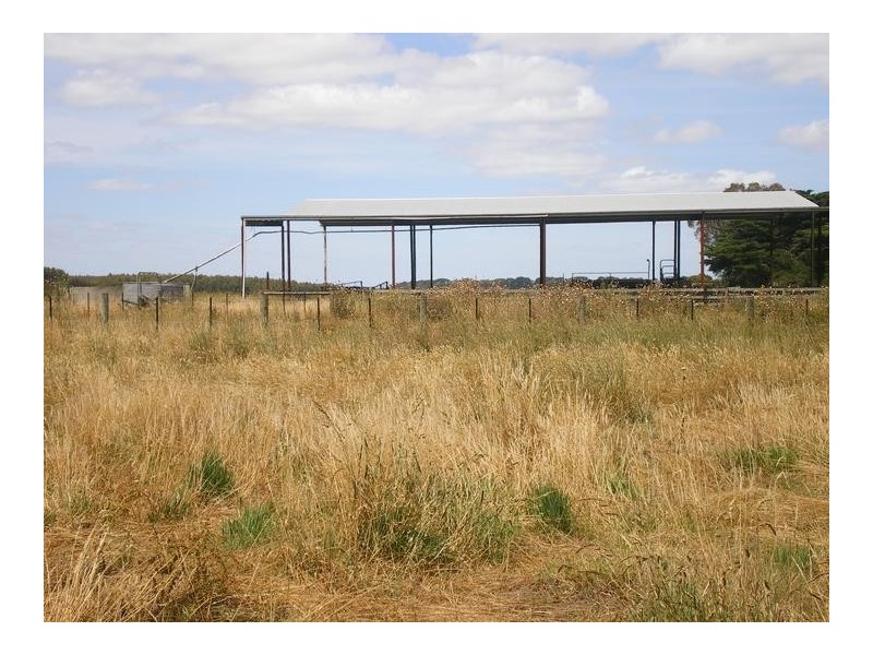 8641 Henty Highway, Branxholme VIC 3302