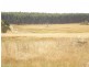 8641 Henty Highway, Branxholme VIC 3302