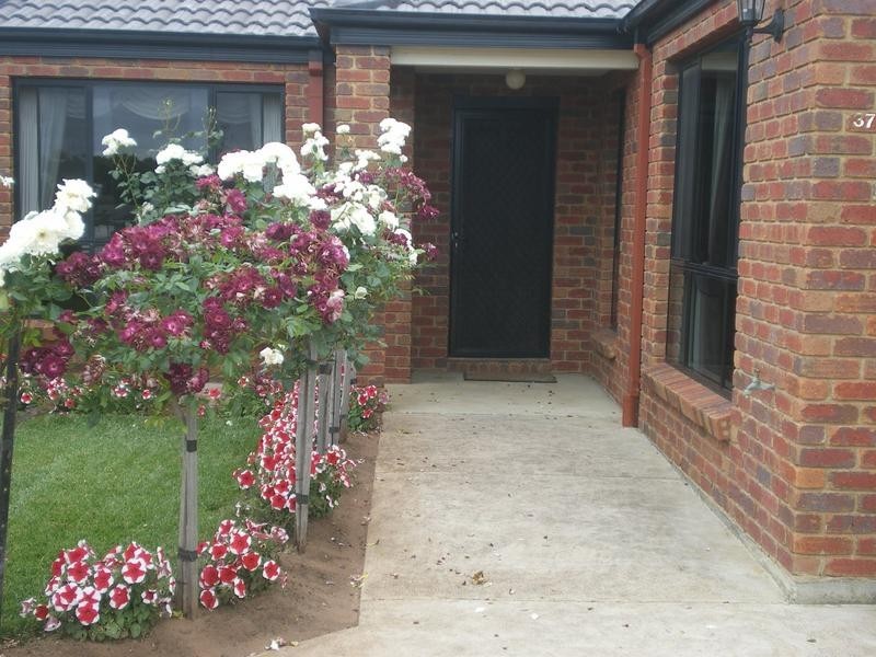 37 Toal Drive, Warrnambool VIC 3280