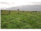 61 Maddens Bridge Road, Cobden VIC 3266