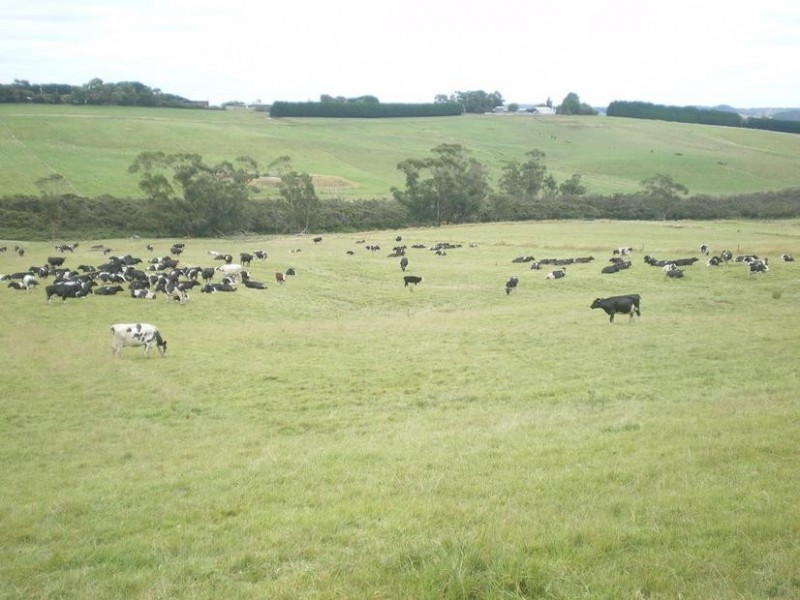 326 Crescent Road, Simpson VIC 3266