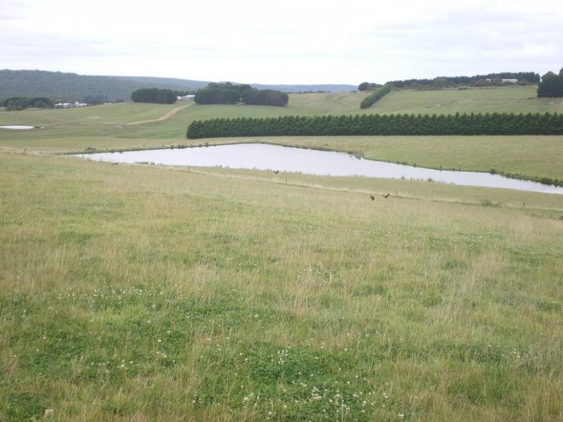 326 Crescent Road, Simpson VIC 3266