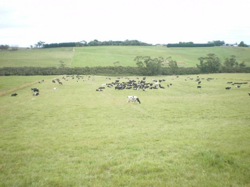 326 Crescent Road, Simpson VIC 3266