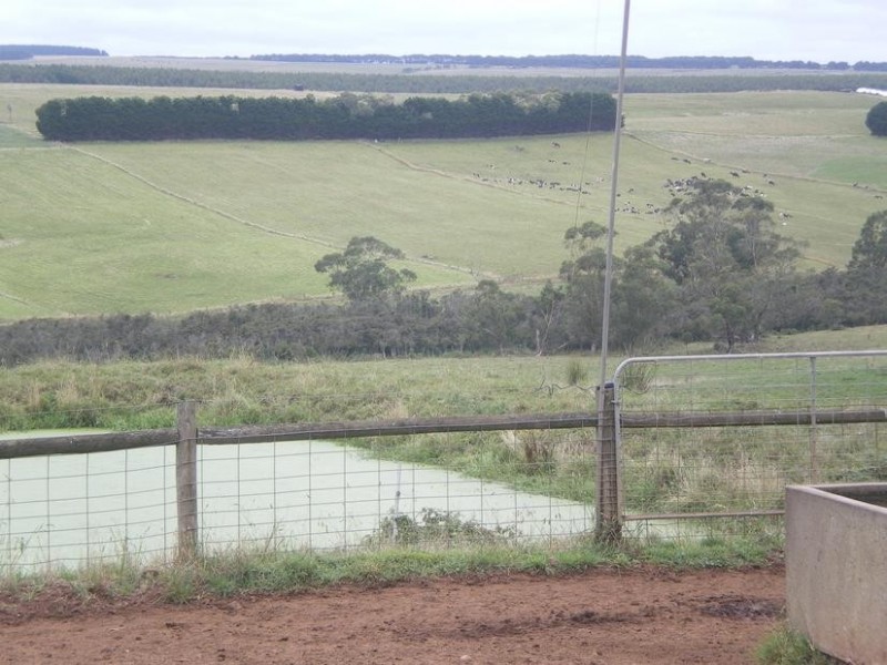 326 Crescent Road, Simpson VIC 3266