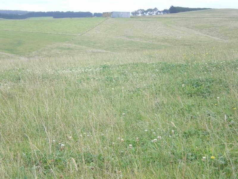 326 Crescent Road, Simpson VIC 3266