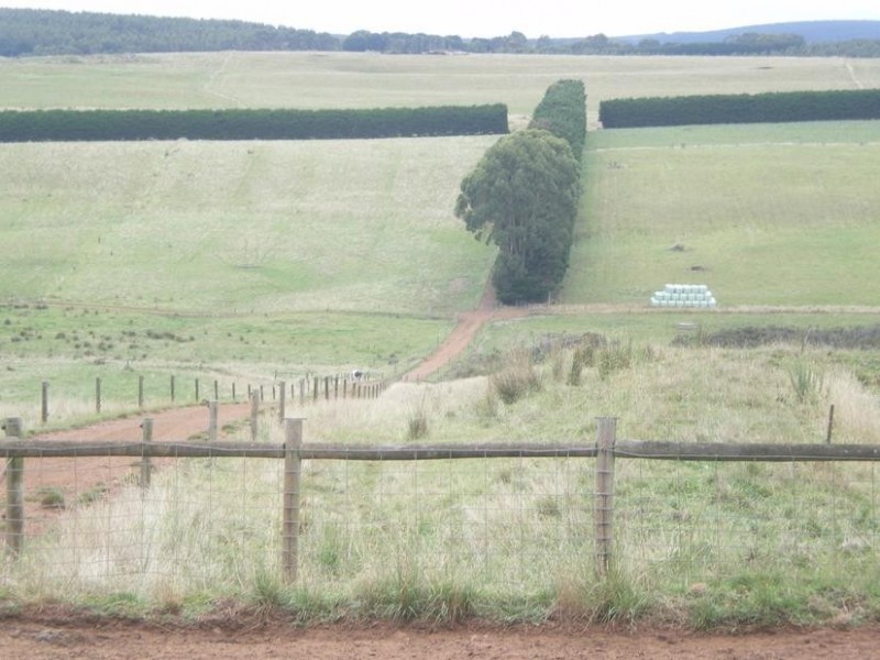 326 Crescent Road, Simpson VIC 3266