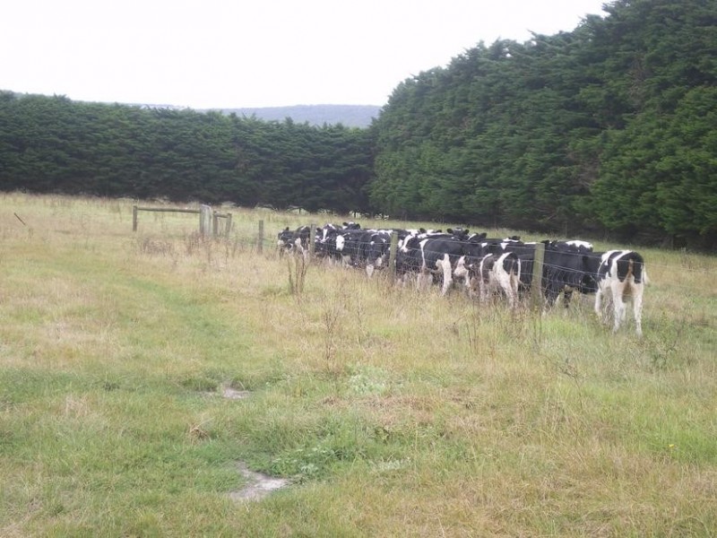 326 Crescent Road, Simpson VIC 3266