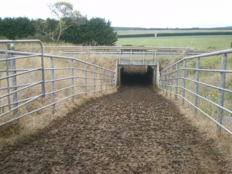 326 Crescent Road, Simpson VIC 3266