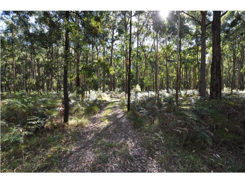Lot TP 817312, Lot 1 Cemetery Road, Cobden VIC 3266
