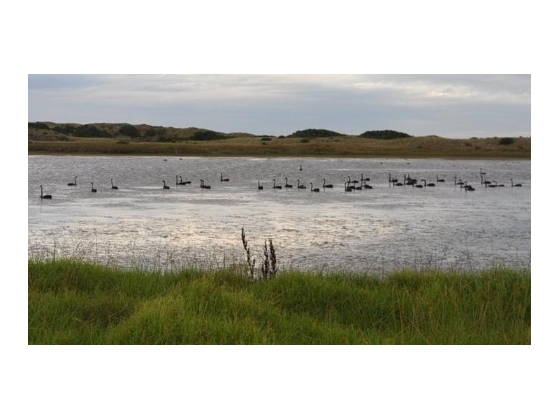 23 Sheedys Road, Killarney VIC 3283