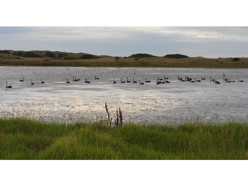 23 Sheedys Road, Killarney VIC 3283