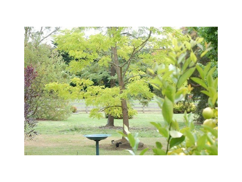 45 Lord Street, Cobden VIC 3266