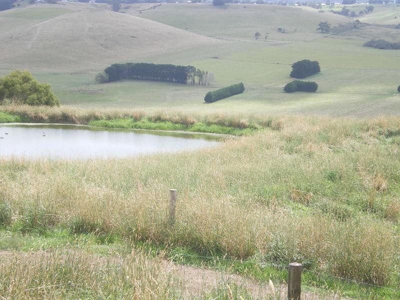 152 Beatons Road, Cobden VIC 3266