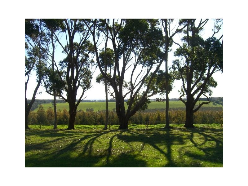 Jancourt East VIC 3266