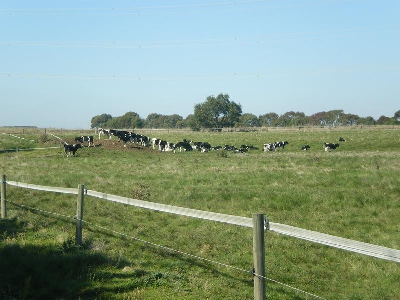 1075 Woolsthorpe/Hexham Road, Woolsthorpe VIC 3276