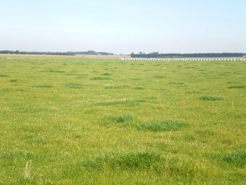 1075 Woolsthorpe/Hexham Road, Woolsthorpe VIC 3276