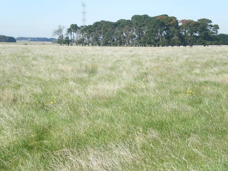 1075 Woolsthorpe/Hexham Road, Woolsthorpe VIC 3276