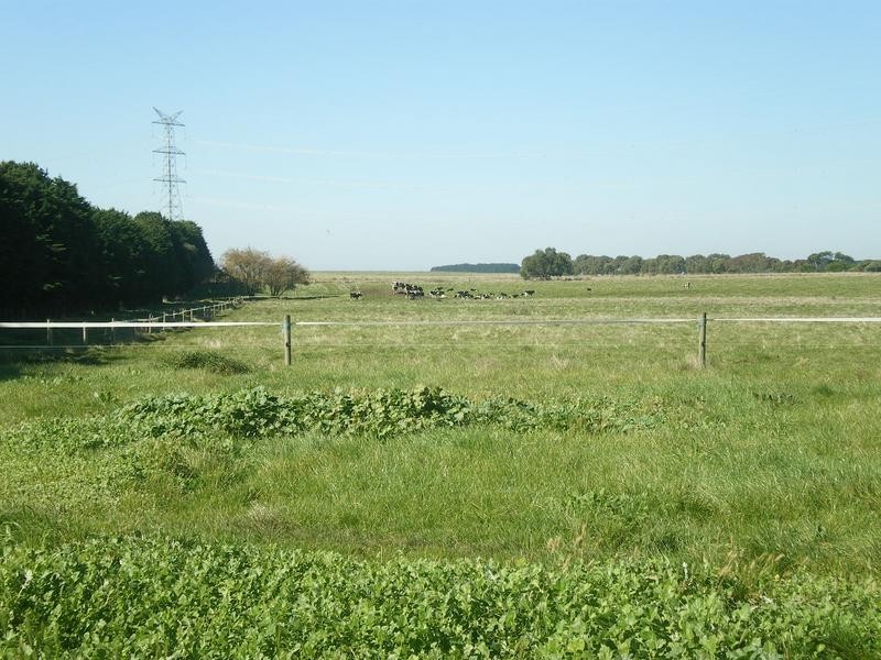 1075 Woolsthorpe/Hexham Road, Woolsthorpe VIC 3276