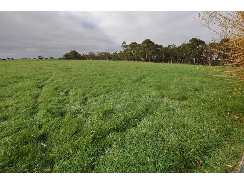 61 Maddens Bridge Road, Glenfyne VIC 3266