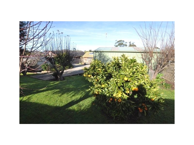 24 Peter Street, Cobden VIC 3266