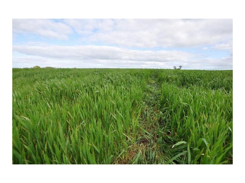 150 Camperdown Road, Derrinallum VIC 3325