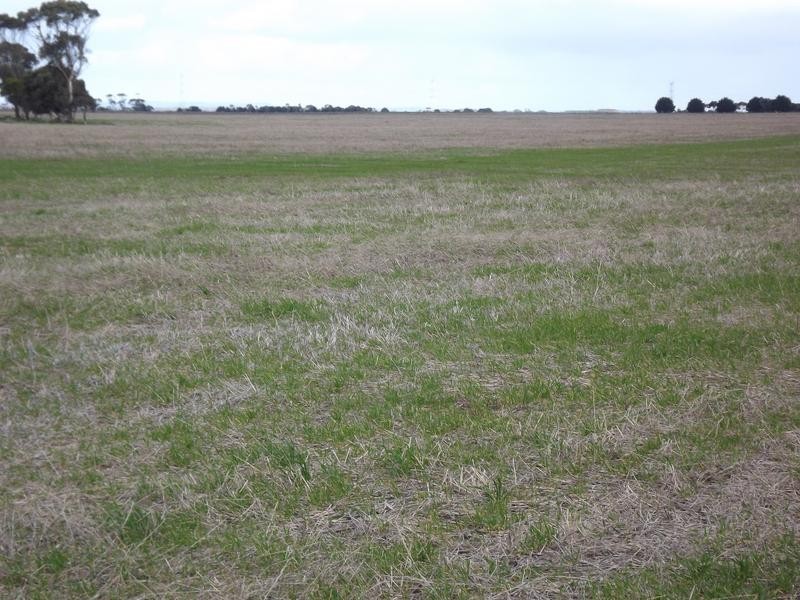 150 Camperdown Road, Derrinallum VIC 3325