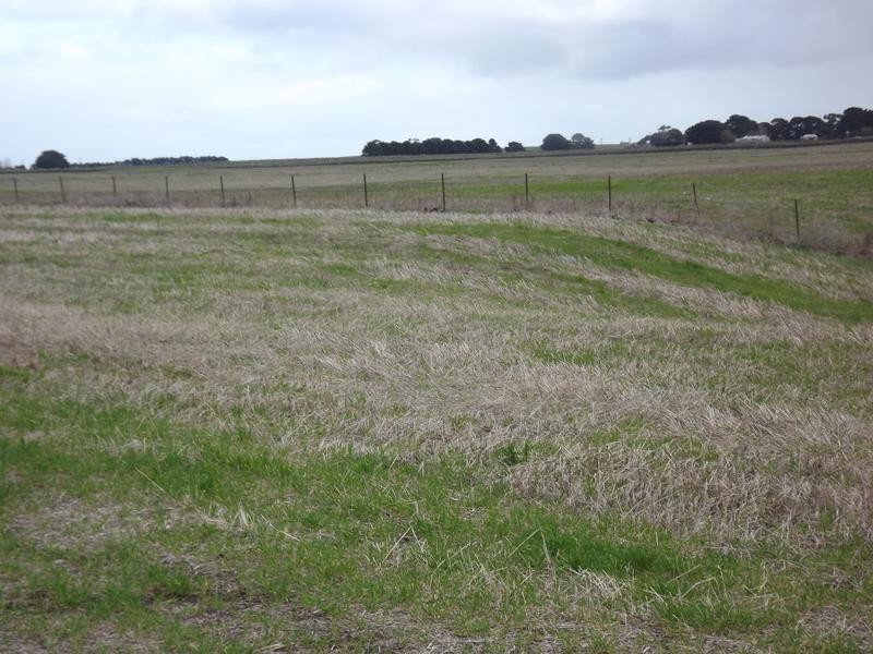 150 Camperdown Road, Derrinallum VIC 3325