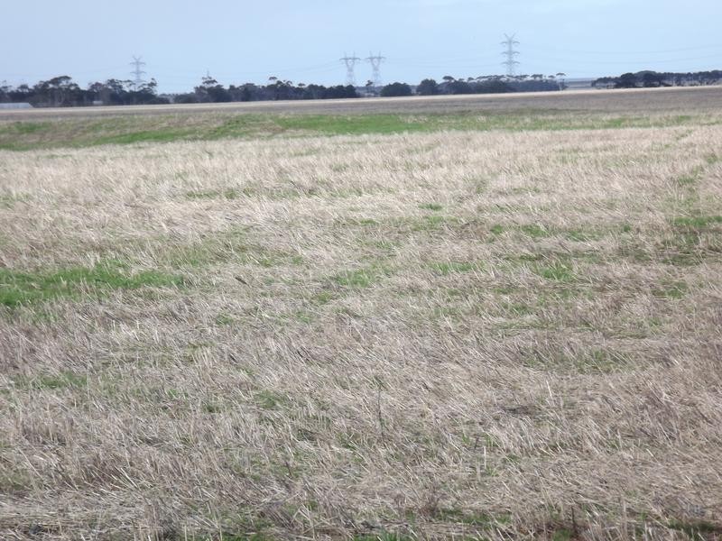 150 Camperdown Road, Derrinallum VIC 3325