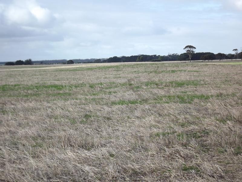 150 Camperdown Road, Derrinallum VIC 3325