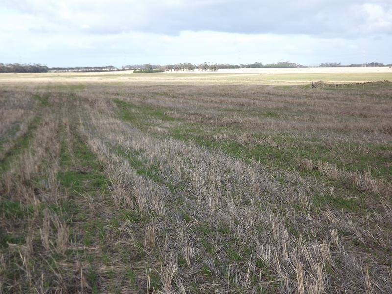 150 Camperdown Road, Derrinallum VIC 3325