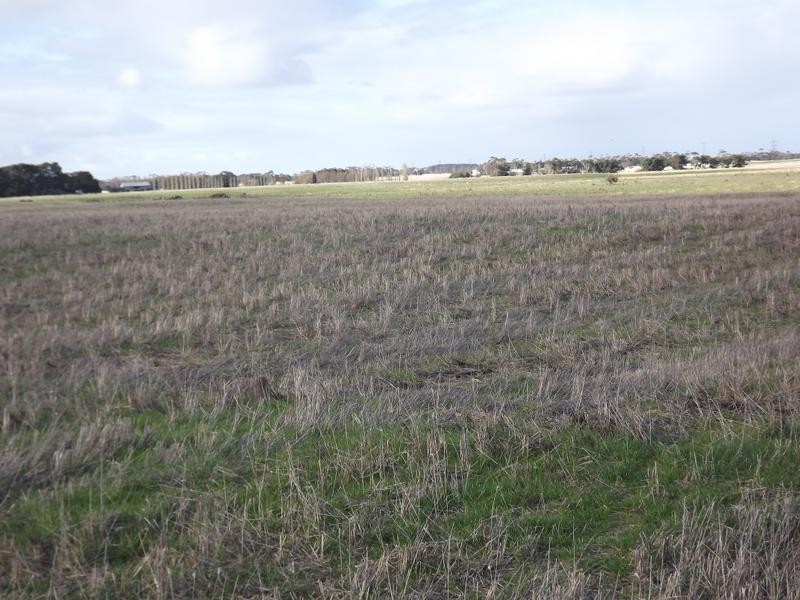 150 Camperdown Road, Derrinallum VIC 3325