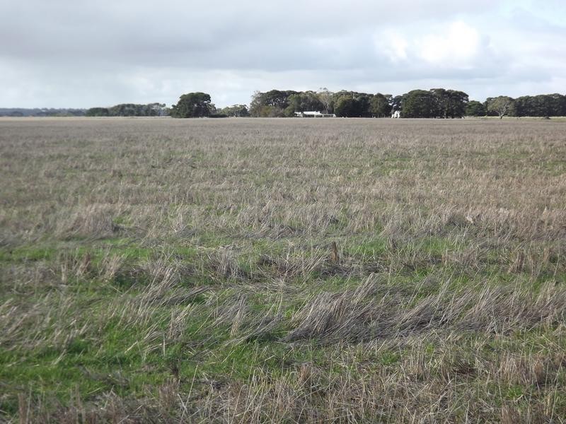 150 Camperdown Road, Derrinallum VIC 3325