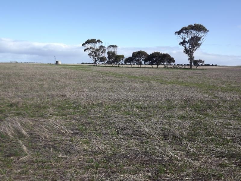 150 Camperdown Road, Derrinallum VIC 3325